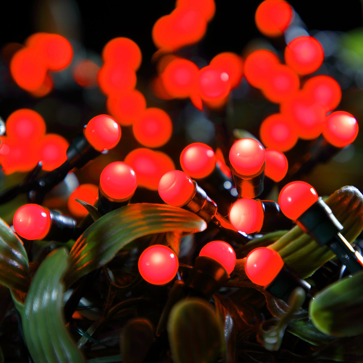 100 Red Berry Lights Battery Operated Timer Noma