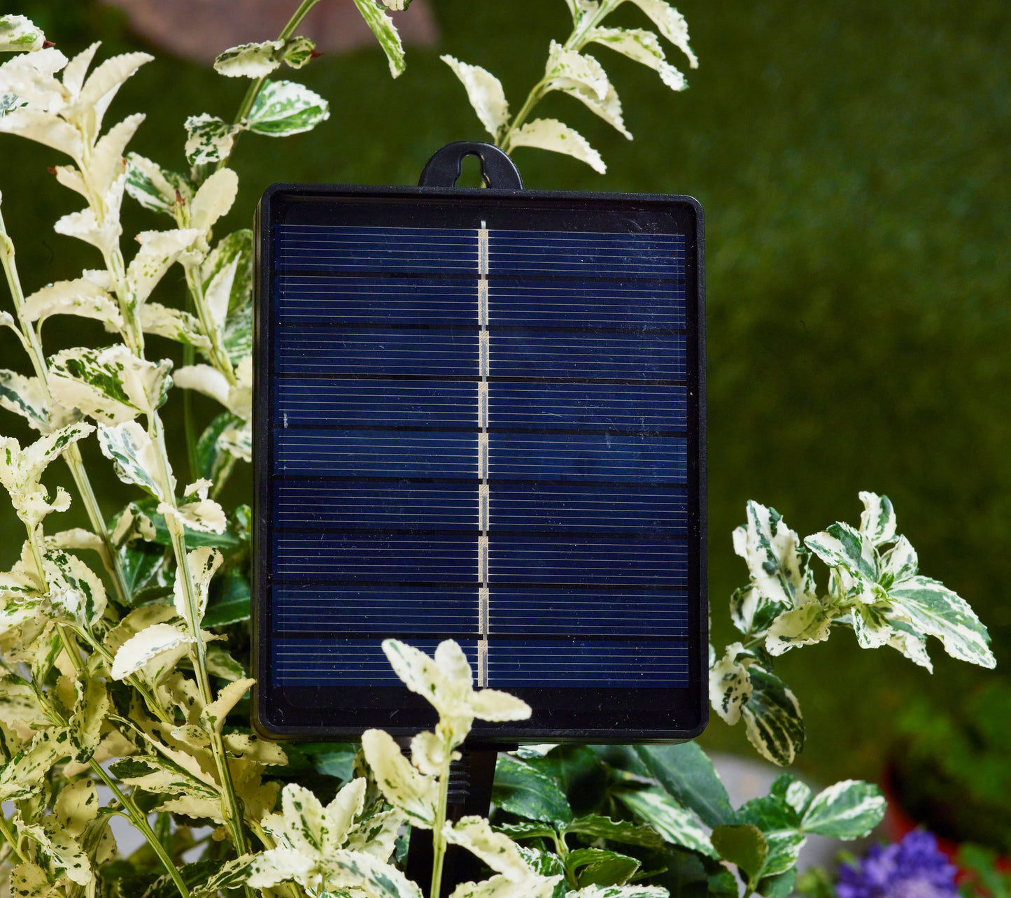 30 Dual Power Dual Colour Pine Cone String Lights - Solar or Mains Operated - Outdoor