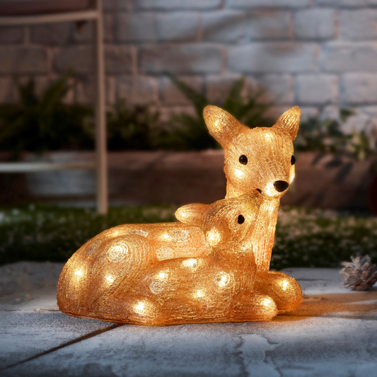 Lit Doe & Fawn Acrylic Christmas Decoration - Indoor and Outdoor - Battery Operated