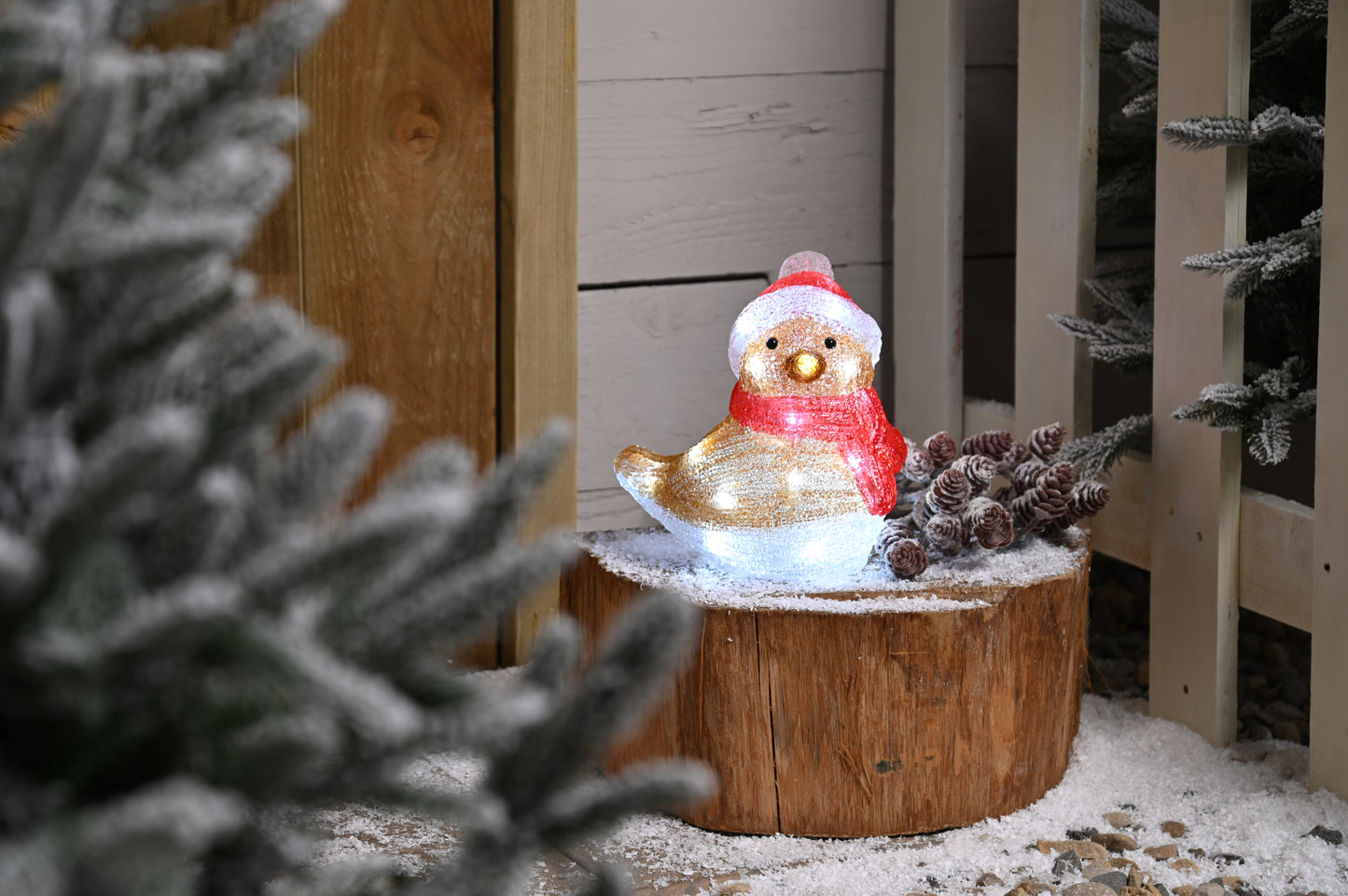 LED Acrylic Robin 19cm Battery Operated with Timer