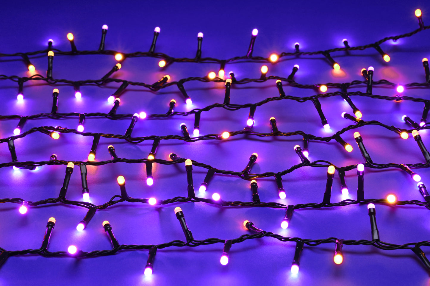 350 Festive Purple and Orange Glow Worm Lights
