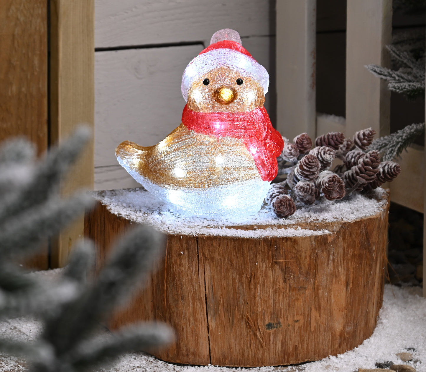 LED Acrylic Robin 19cm Battery Operated with Timer