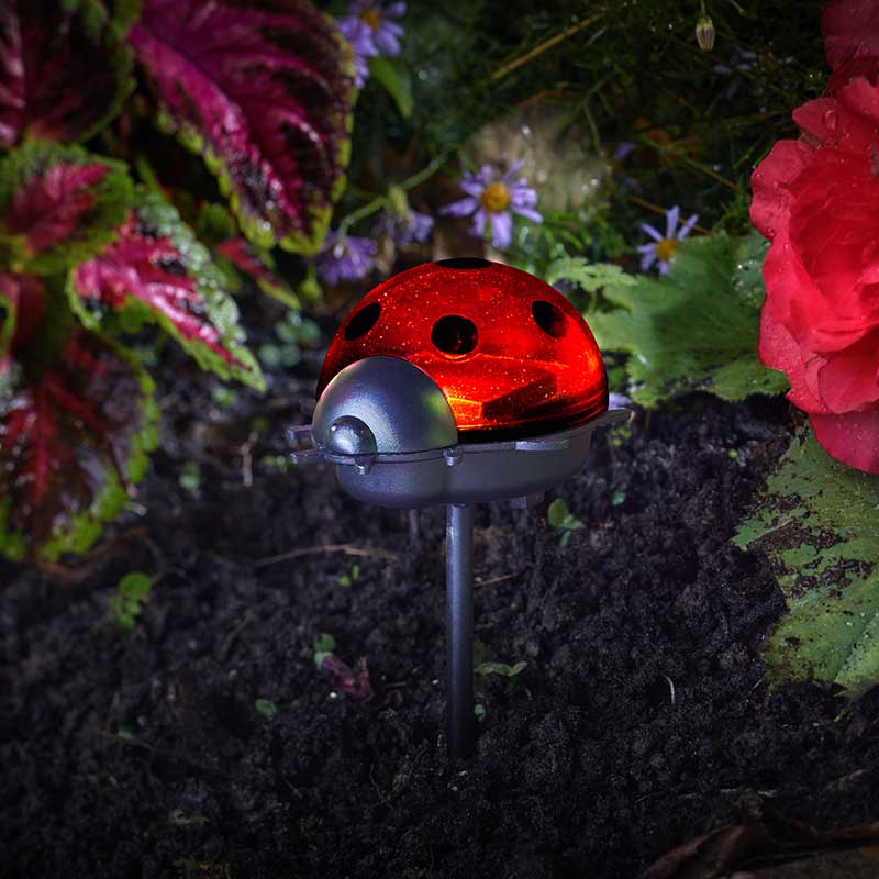 Ladybird Stake Lights Solar Powered Pack of 3